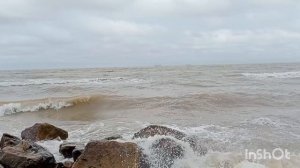 В Ейске сильный ветер+15☀️ Море штормит🌊Встреча с бездомными. Вкусный ужин.