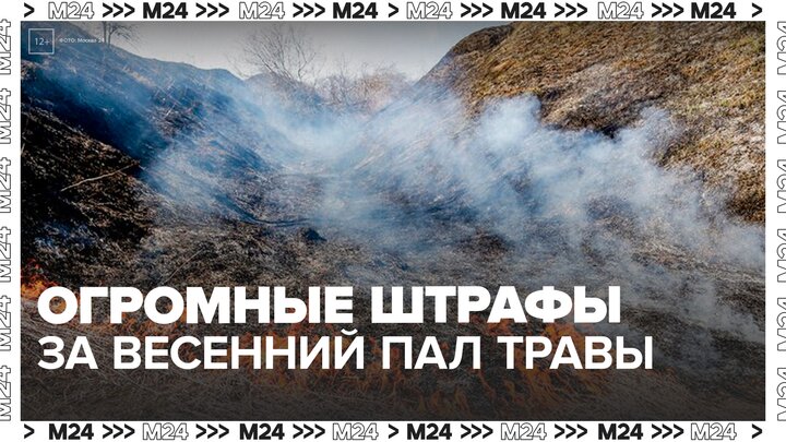 Штраф за весенний пал травы в России может составить до 3 млн рублей - Москва 24