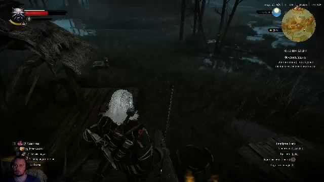The Witcher 3: Wild Hunt 8 день