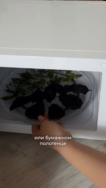 Как высушить зелень в микроволновке?