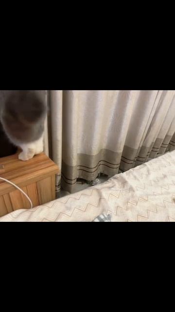 А кто это сделал?