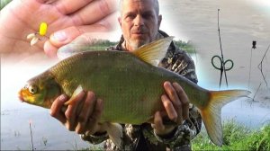 Это КЛЁВЫЙ Вечер! Рыбалка на Леща на Оке Ночевка с Донками!