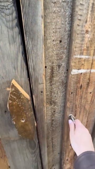 Клип @delay_sam_remont