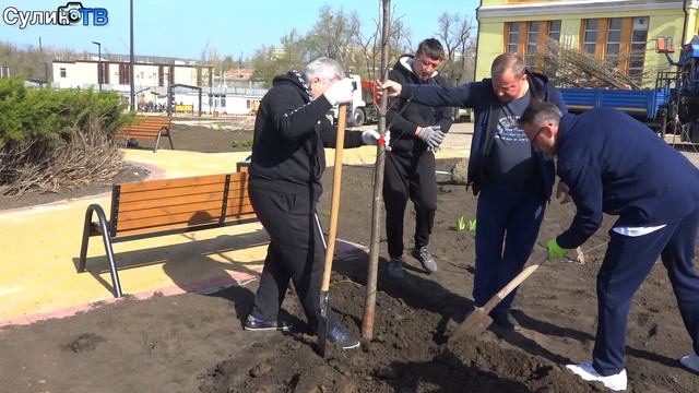 День древонасаждения