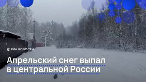 Апрельский снег выпал в центральной России