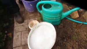 Почему не растут саженцы в мае и засыхают в июне. #ВиталийОрех #Виталий7соток