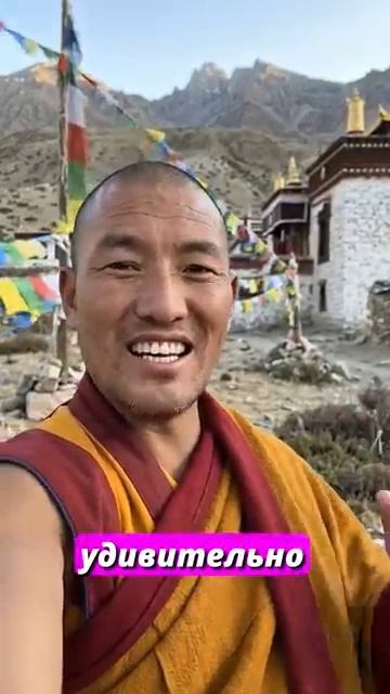 Нас уже ничем не напугать #психология #саморазвитие #mindfulness #монахговорит #