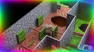 Мой хомяк выбирается из сада лабиринта! часть 5