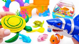 Мультики для детей. Классный набор - Акула и черепашка-аквариум Смотреть онлайн мультики для малышей