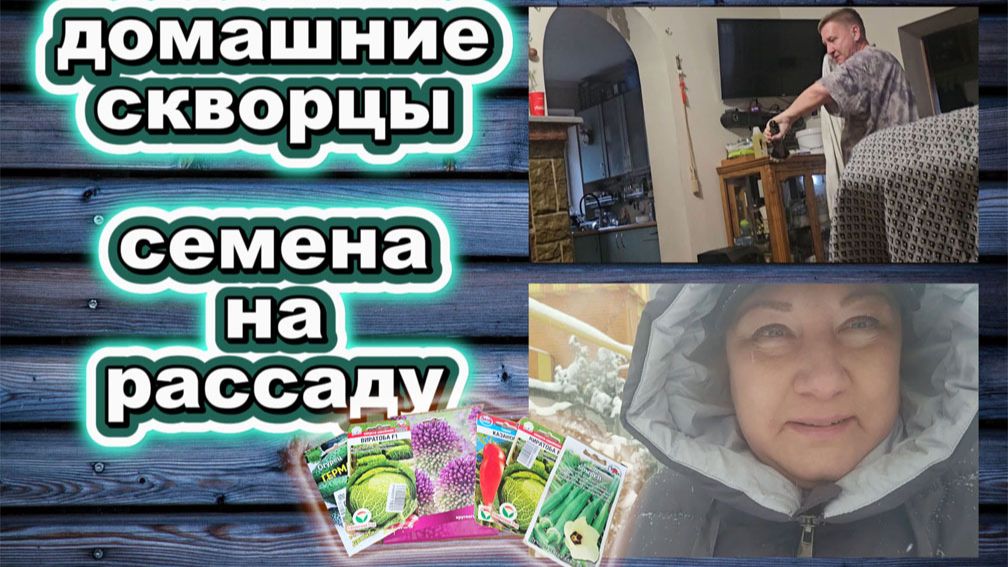 🇰🇿 КАЗАХСТАН 28-26! ВЛОГ/КАЖДЫЙ ДЕНЬ СКВОРЦЫ/СНЕГОПАД/ОБЗОР, НЕ ВСЕХ, СЕМЯН ДЛЯ САДА И ОГОРОДА ☘