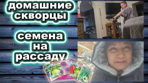 🇰🇿 КАЗАХСТАН 28-26! ВЛОГ/КАЖДЫЙ ДЕНЬ СКВОРЦЫ/СНЕГОПАД/ОБЗОР, НЕ ВСЕХ, СЕМЯН ДЛЯ САДА И ОГОРОДА ☘