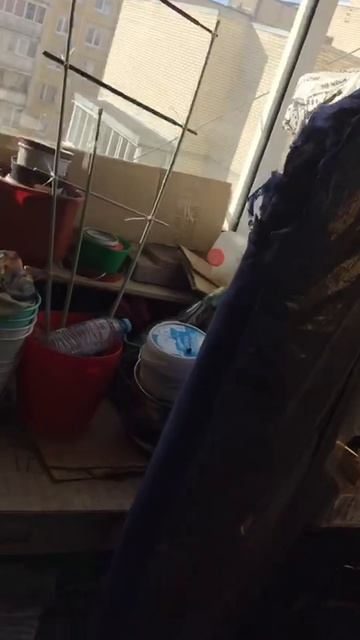 Санкт-Петербург. 20.04.2026. Котёночек Персик греется на солнышке на балконе