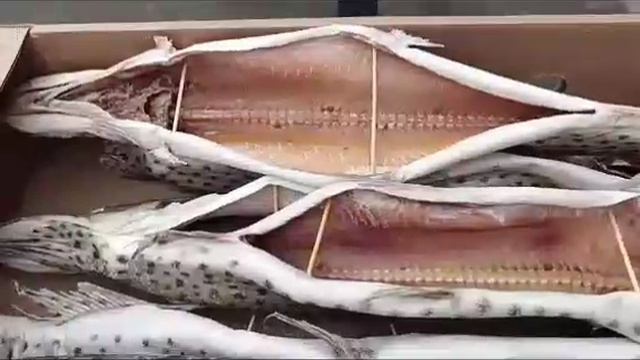 Северная Щука вяленая слабой соли