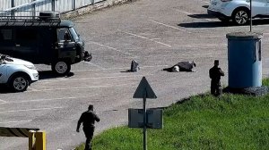 В Пятигорске задержали гражданку Германии, готовившую теракт по заданию Киева