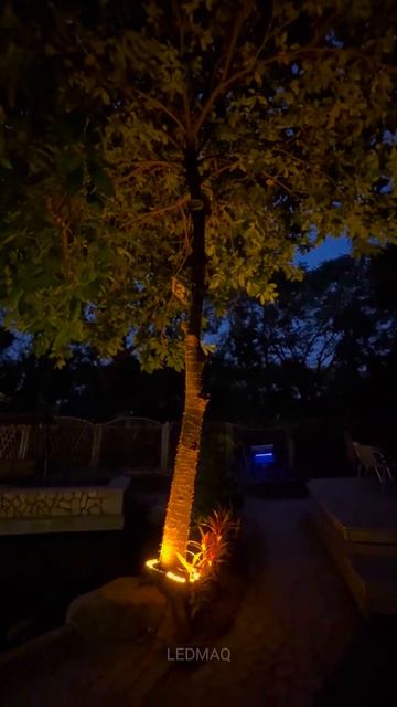 Грунтовой ландшафтный светильник для круговой подсветки колонн и деревьев серия SM и BS