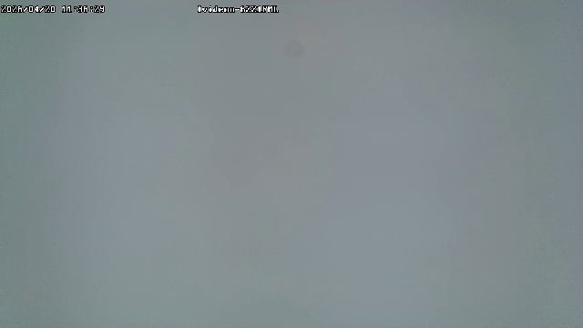 LIVE: Channel43489494