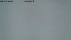 LIVE: channel43489494