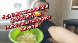 Еда специальная для ЗАЙКОВОЙ 🤣. Поболтаем под хруст капусты