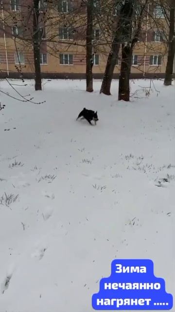 Зима❄️нечаянно нагрянет,когда ее совсем не ждёшь.А по идее бы,конечно,весенний должен быть бы дождь