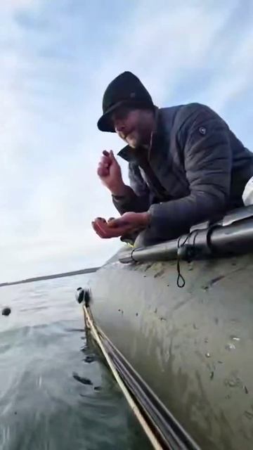 😅  А вы как закармливаете?