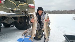 Заключительная рыбалка по льду. Достойный улов.