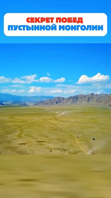 Мощные борцы из Монголии #shorts