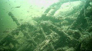 1000015719.mp4Волга гл.2м.20.04.2026г.