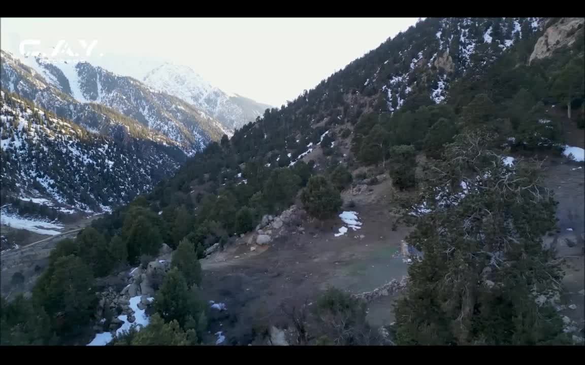 LIVE: C.A.Y. Records Digital Record Label