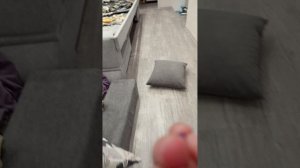 Обзор на наш мягкий дом!