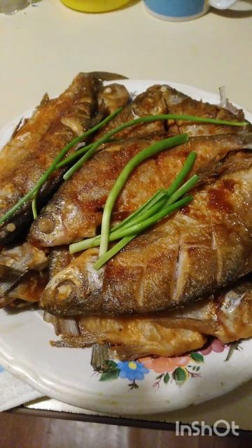 Золотая рыбка🐠🐠🐠🐠🐠