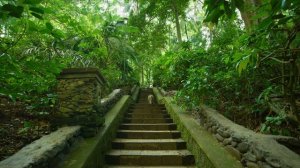 Красивая природа 4к -Bali in 8k ULTRA HD HDR - Paradise of Asia (120 FPS)