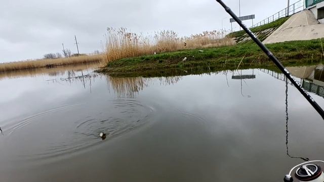 Мормышинг.Ловлю карасей,а поплавочники говорят не клюёт.