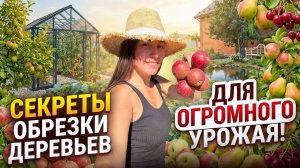 Как ОБРЕЗАТЬ Плодовые Деревья, Чтобы они ЛОМИЛИСЬ от ФРУКТОВ