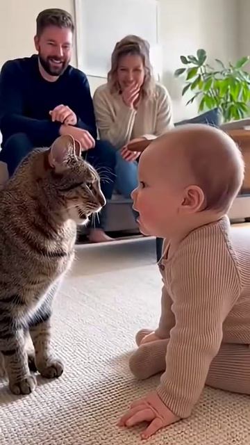 Диалог с Котом