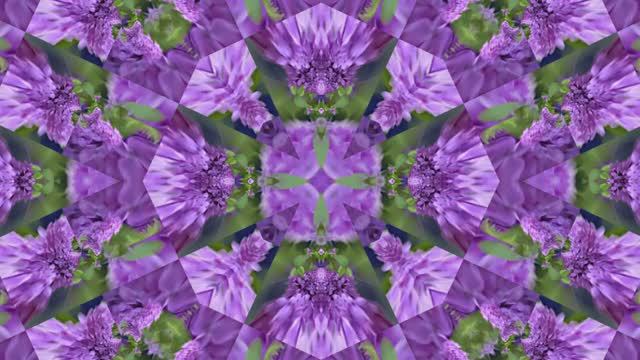 Футажи!!! Видеофоны!!! Футаж Сиреневая Феерия 4 от Киностудии Мудрого Кота Тимофея!!!