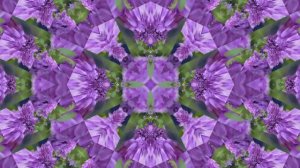 Футажи!!! Видеофоны!!! Футаж Сиреневая Феерия 4 от Киностудии Мудрого Кота Тимофея!!!