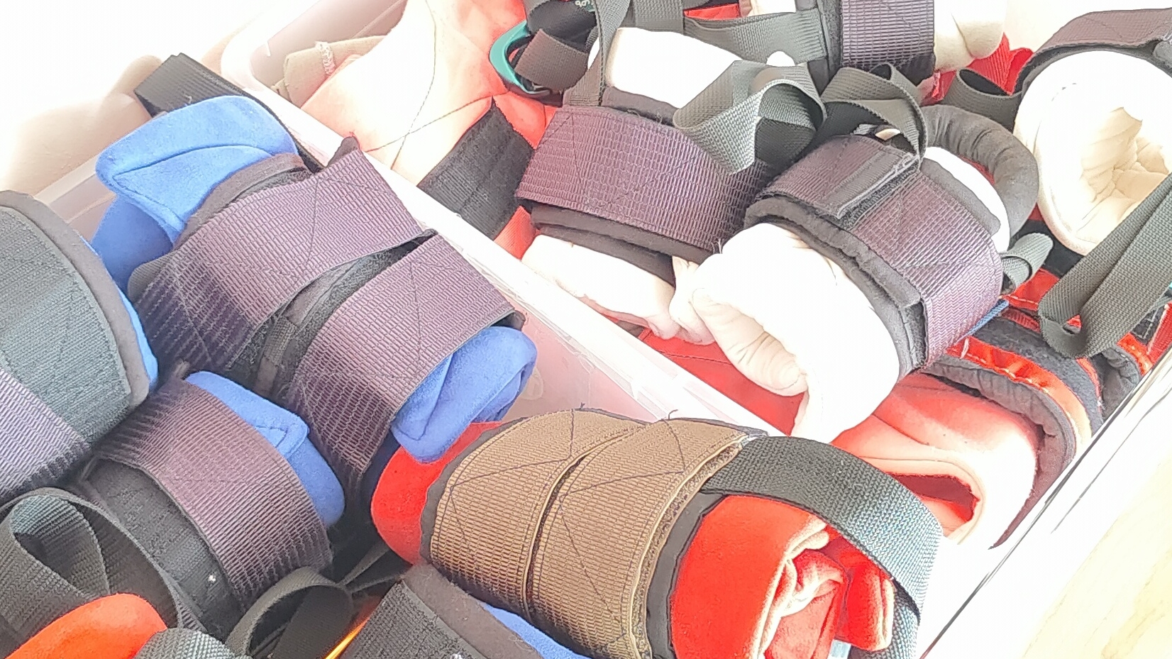 По кормить | голуби