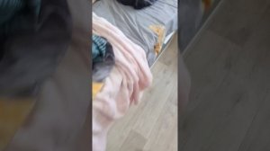 реборн лиля