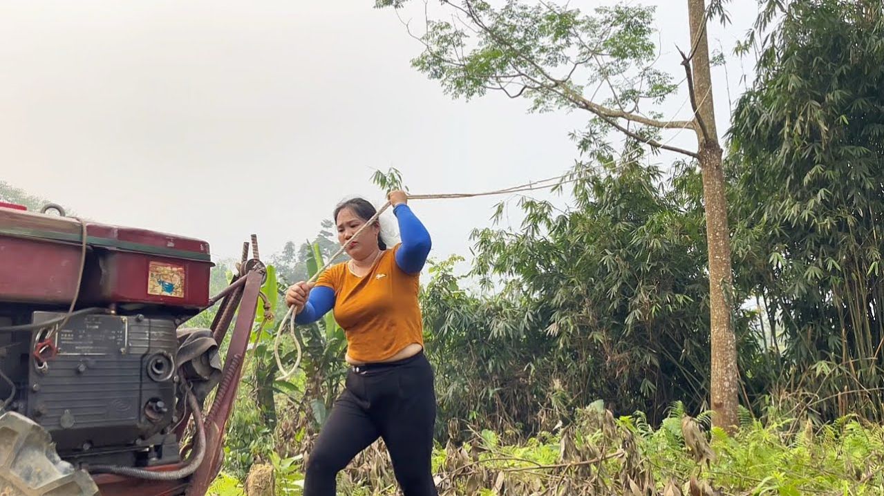 Чтобы срубить гигантское дерево, девушке пришлось приложить немало усилий, используя технику.