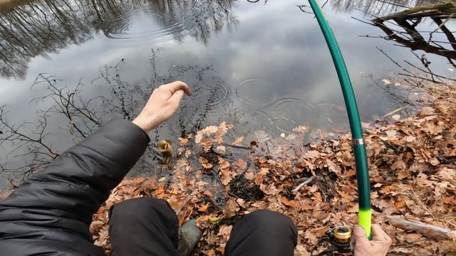 РЫБАЛКА НА ПОПЛАВОЧНУЮ УДОЧКУ