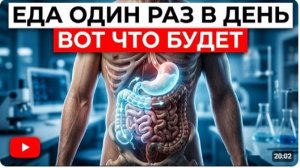 23 часа без еды: что происходит внутри тебя каждый час