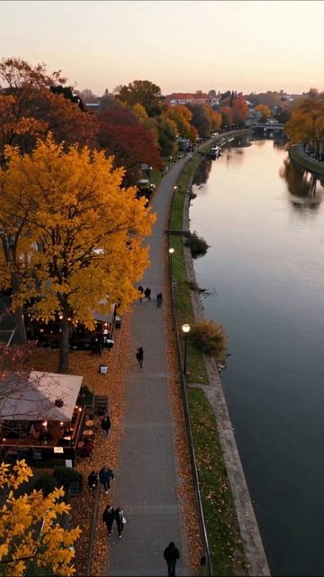 Осень у реки: прогулка по набережной #осень #пейзаж #прогулка