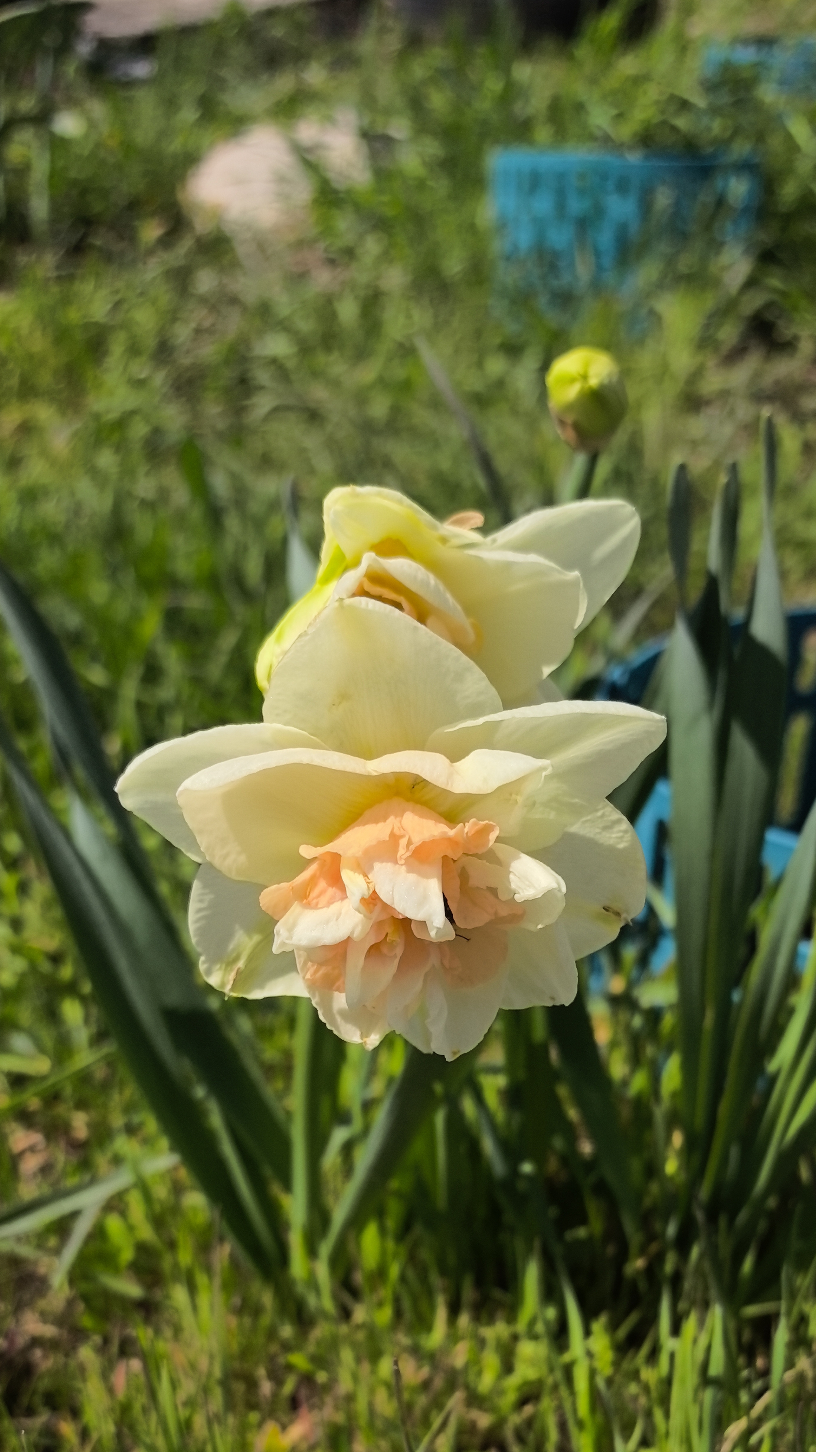 Утро в деревне 🤔