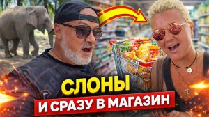 ПАТТАЙЯ КАКАЯ ОНА ЕСТЬ 🇹🇭 СЛОНЫ-ГИГАНТЫ И НАШ ДЕНЬ 💸