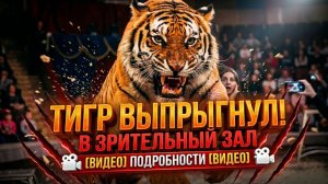 Тигр выпрыгнул в зрительный зал в ростовском цирке: подробности и видео