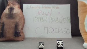 УРААААА ПЕРВЫЙ ПОДПИСЧИК🐯🐯🐯🐯🐯🐯🐯🐯🐯🐯🐯❤️🔥❤️🔥❤️🔥❤️🔥❤️🔥