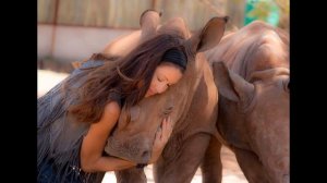 КРАСИВЫЕ  АКТРИСЫ ГОЛЛИВУДА ( ШЕННОН ЭЛИЗАБЕТ)