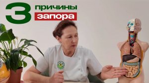 3 причины запора, о которых не говорят врачи