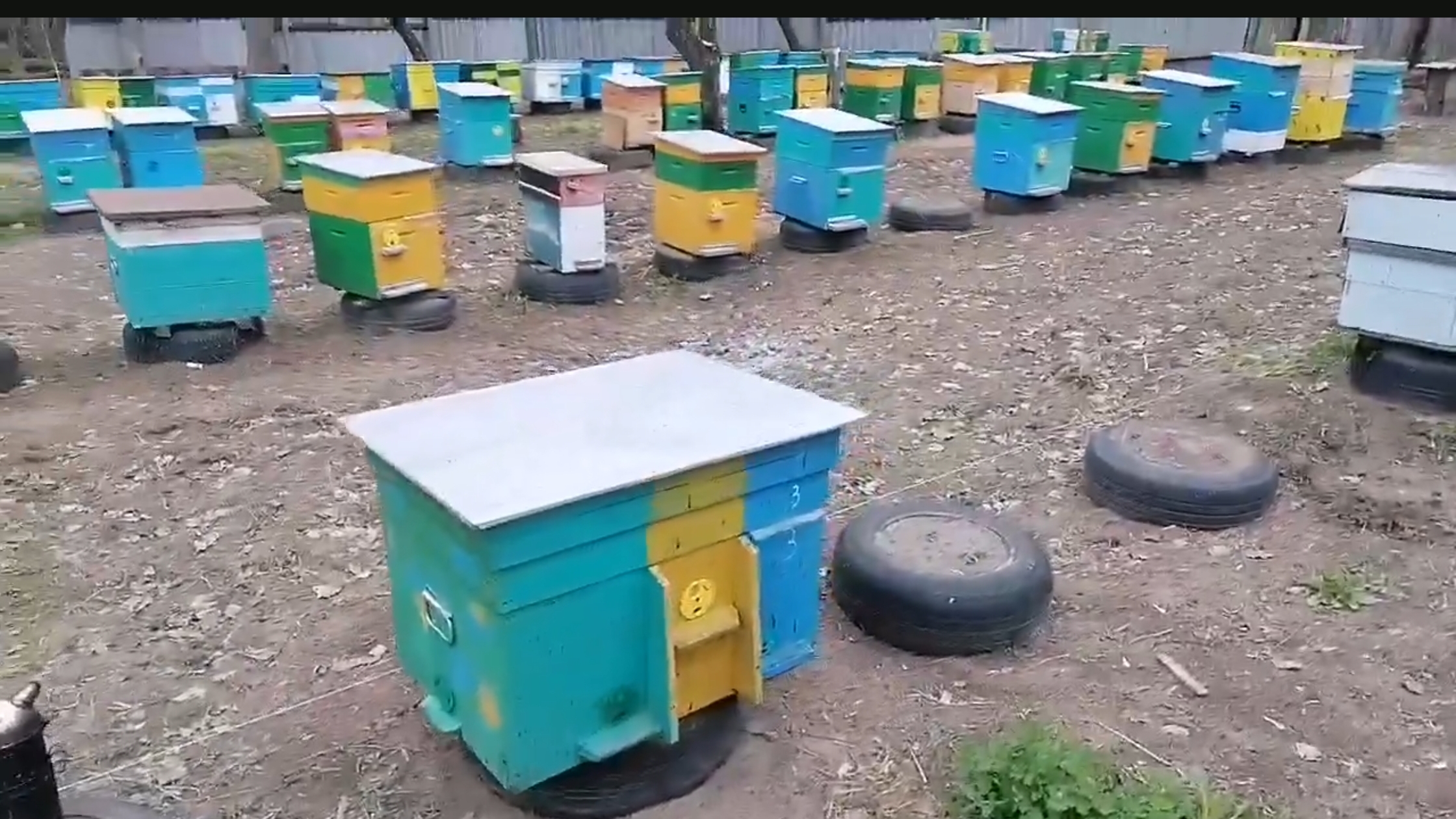 20 апреля. Про продажу пчелопакетов