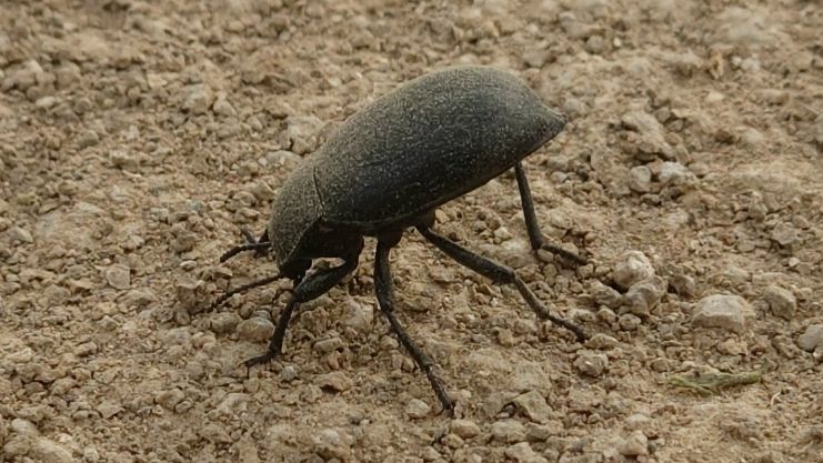 S26E6  / 19.04.26 01/04